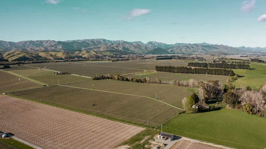 Hunter’s Wines Expands with New Waihopai Valley Vineyard