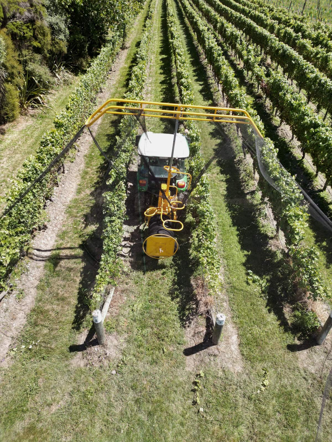 Putting Nets on the Vineyard