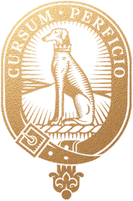 Gold Crest